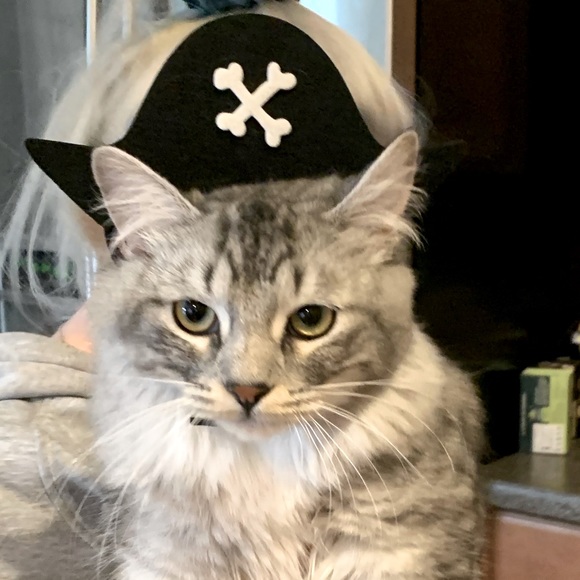 Meet your Posher, Stephanie - Picture 1 of 1